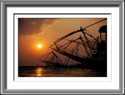 India,Chinese fishing nets,birds