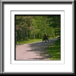 horse cart, farm, farmland, Estonia, Rocca al Mare