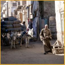 Egypt, Rural